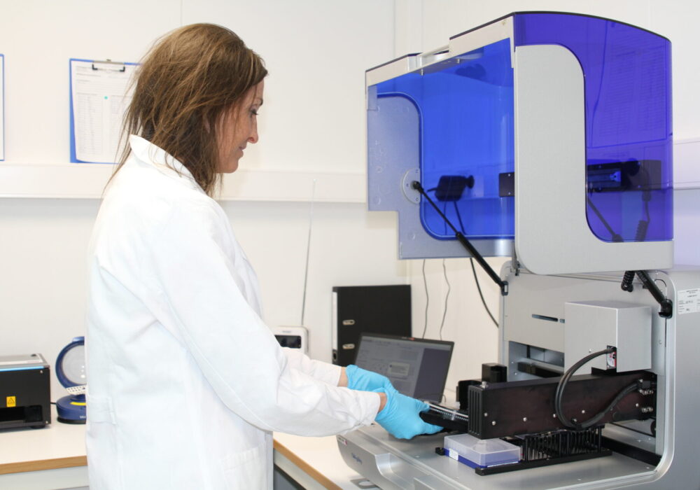 Oppsett av prøver til PCR-analyser på laboratoriet hos Blue Analytics.