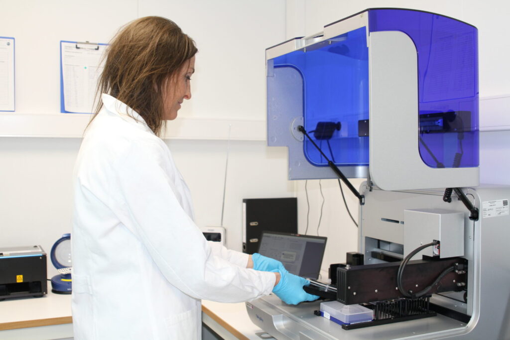 Oppsett av prøver til PCR-analyse på laboratoriet hos Blue Analytics.